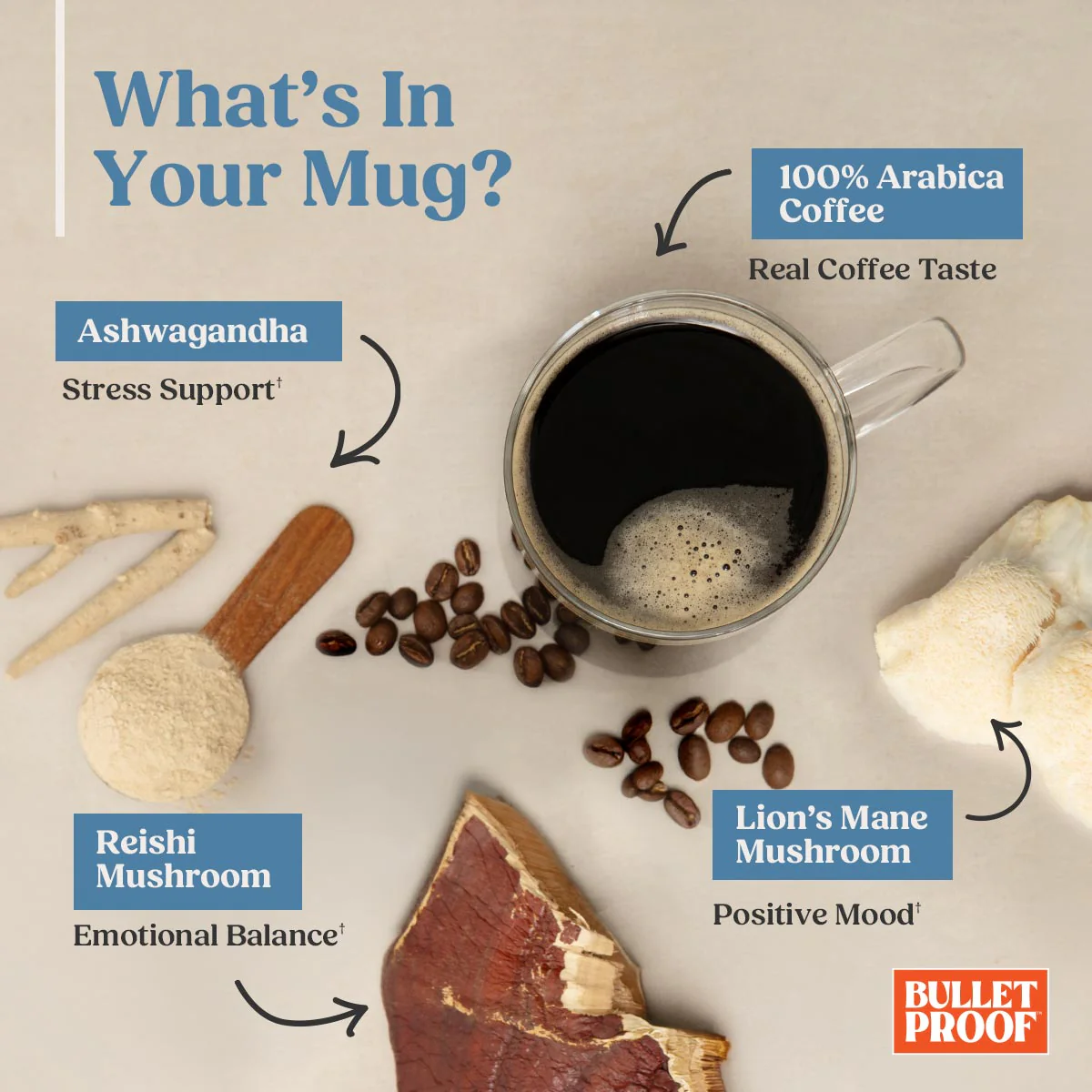 The Mood Booster Mushroom Ground Coffee - Image 3