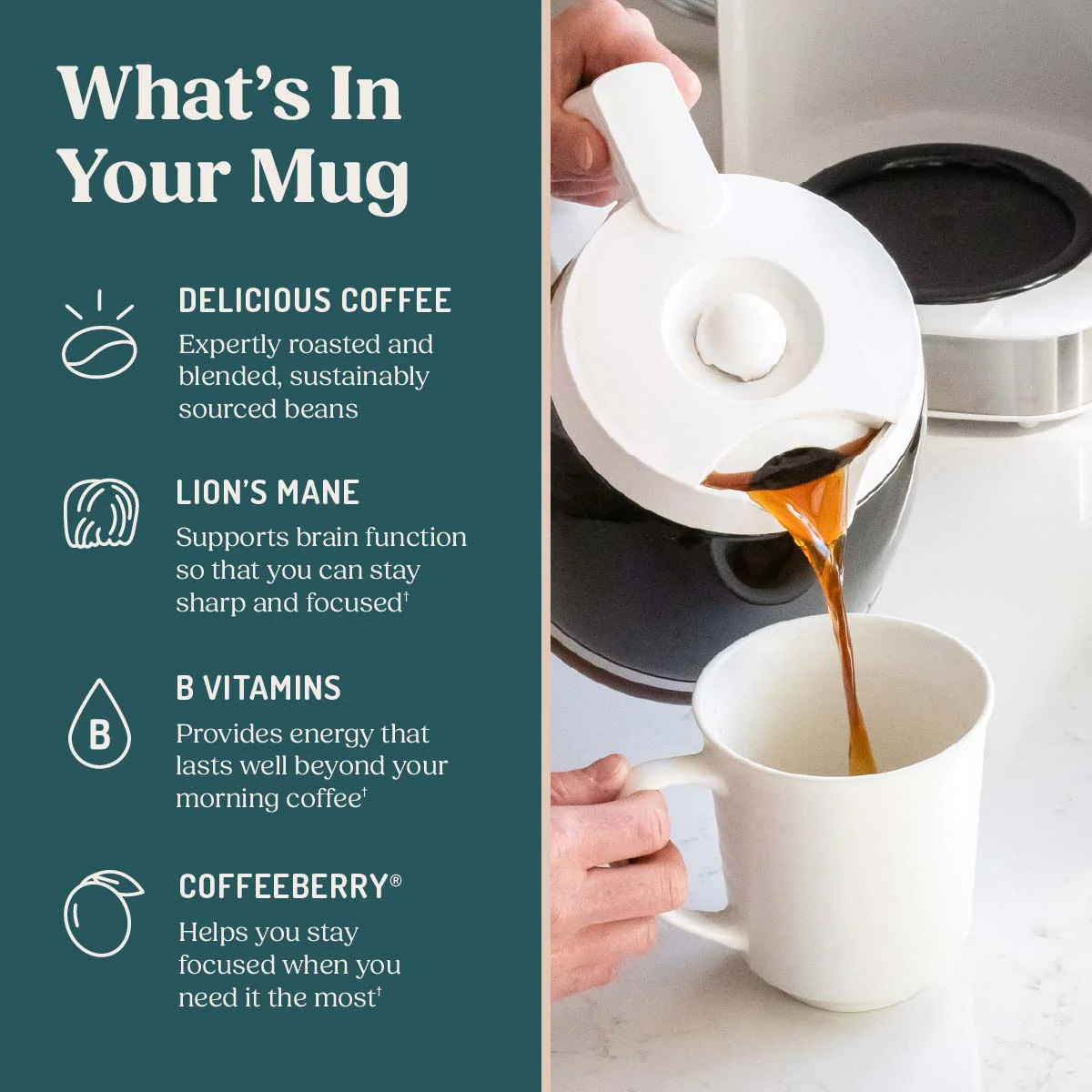 The High Achiever™ Ground Coffee, 3 pack - Image 3