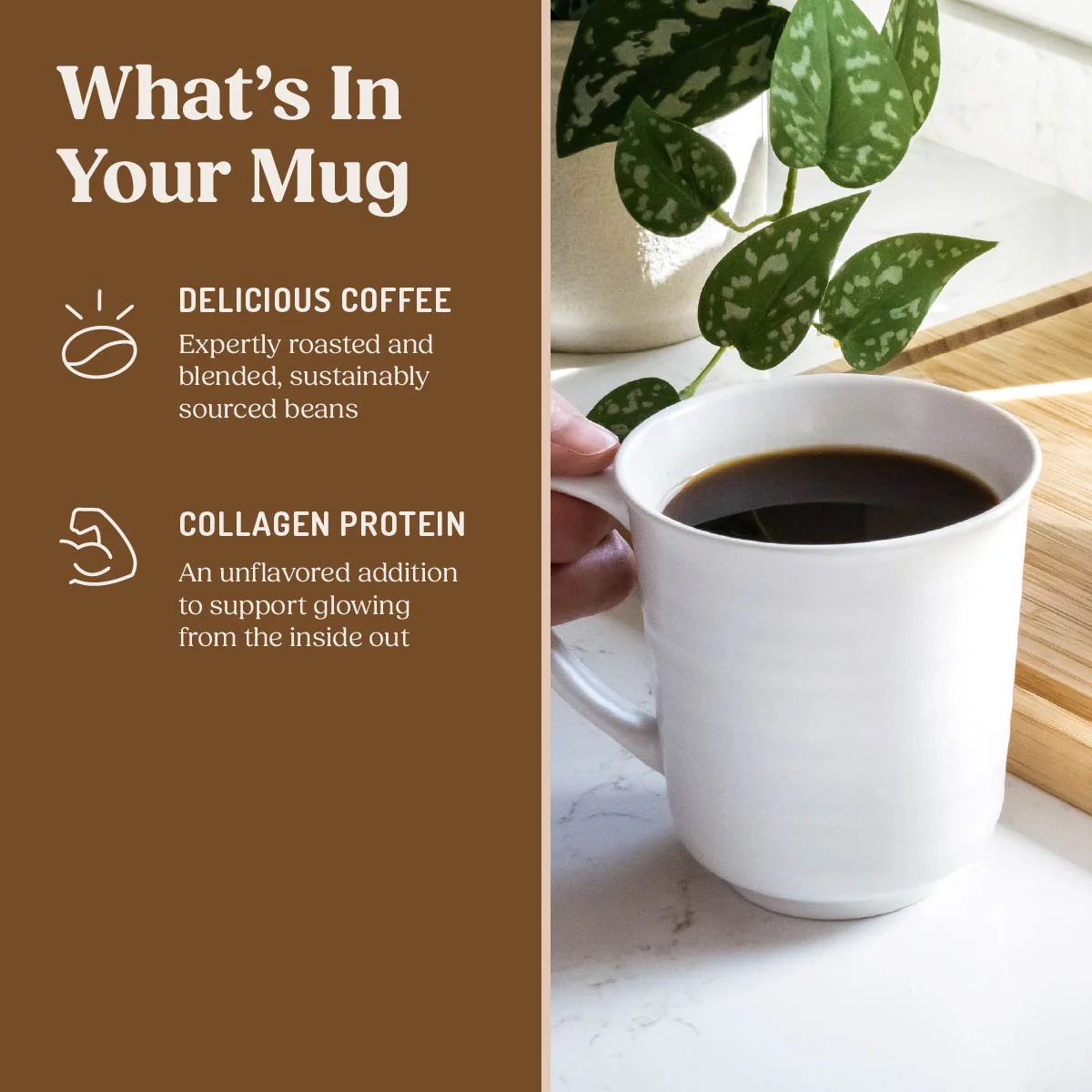 The Original + Collagen Coffee Pods, 10 ct. - Image 4